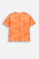 COCCODRILLO marškinėliai trumpomis rankovėmis, oranžiniai, WC6143201HBJ-006-140, 140 dydis