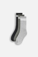 COCCODRILLO kojinės SOCKS BOY, spalvotos, cm