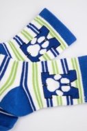 COCCODRILLO kojinės SOCKS BOY, spalvotos, cm