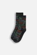 COCCODRILLO kojinės SOCKS BOY, spalvotos, cm
