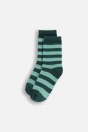 COCCODRILLO kojinės SOCKS BOY, spalvotos, cm