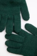 COCCODRILLO pirštuotos pirštinės ACCESSORIES WINTER BOY, žalios, ZC4360306AWB-011-XXL, XXL cm