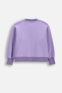 COCCODRILLO džemperis, violetinis, dydis