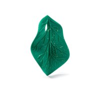 OLI&CAROL kramtukas CHLOROPHYLL LEAF