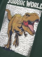 NAME IT JURASSIC WORLD marškinėliai, 13244991-3E524B 122/128 cm
