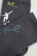 COCCODRILLO kojinės SOCKS BOY, spalvotos, cm