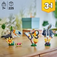 31173 LEGO® Creator Laukiniai gyvūnai: atogrąžų tukanas
