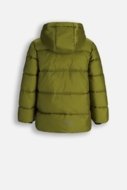 COCCODRILLO striukė OUTERWEAR BOY JUNIOR, žalia, cm