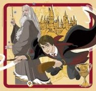 CLEMENTONI dėlionė Square Harry Potter, 3x48 det., 25312