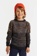 COCCODRILLO megztinis DIGITAL BOY KIDS, multicoloured, ZC4172101DBK-022-122, 122 cm