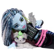 MONSTER HIGH lėlė Frankie, JHK31