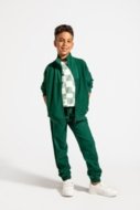 COCCODRILLO sportinės kelnės ACADEMY BOY JUNIOR, žalios, ZC4120103ABJ-011-164, 164 cm