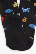COCCODRILLO kojinės SOCKS BOY, spalvotos,