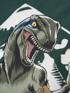 NAME IT JURASSIC WORLD marškinėliai, 13254420-395551 92 cm