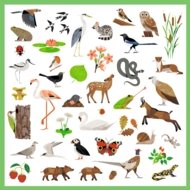 DJECO lipdukų rinkinys Fauna (160 det.), DJ09285
