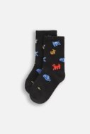 COCCODRILLO kojinės SOCKS BOY, spalvotos,