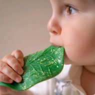 OLI&CAROL kramtukas CHLOROPHYLL LEAF