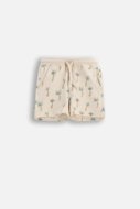 COCCODRILLO šortai, kreminiai, WC6121502IBN-003-074, 74 dydis