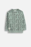 COCCODRILLO džemperis, žalias, WC6132102NBK-011-116, 116 cm