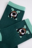 COCCODRILLO kojinės SOCKS BOY, žalios, cm