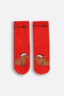 COCCODRILLO kojinės, raudonos, ZC5382706MER-009-026, 26-30 cm
