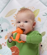 FISHER PRICE kramtukai Spalvoti Draugai, JFJ95