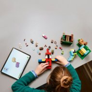 21282 LEGO® Minecraft® Papūgų namai