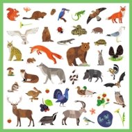 DJECO lipdukų rinkinys Fauna (160 det.), DJ09285