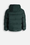 COCCODRILLO striukė OUTERWEAR BOY JUNIOR, žalia, cm