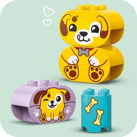 10441 LEGO® DUPLO® Creative Play Formų rūšiavimo žaislas: šuniuko namas 