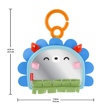 FISHER-PRICE veidrodėlis 2in1, JHB45 