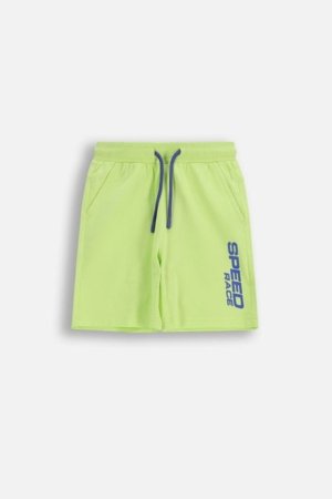 COCCODRILLO šortai, geltoni, dydis 