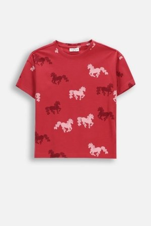 COCCODRILLO marškinėliai trumpomis rankovėmis, raudoni, WC6143201GGK-017-110, 110 dydis 