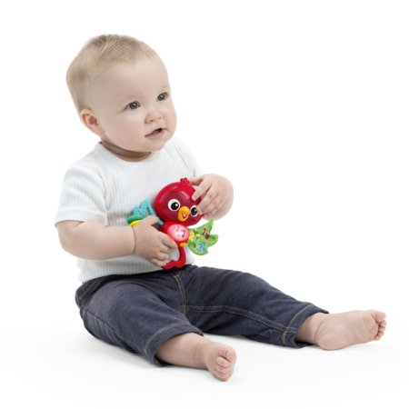 BABY EINSTEIN muzikinis žaislas Roxy's Bright Flight Musical Toy, 16888 