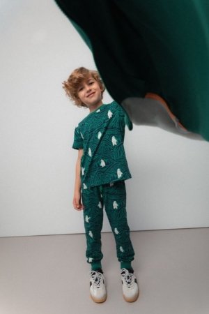 COCCODRILLO tamprės, spalvotos, cm 