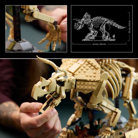 77985 LEGO® Jurassic World Dinozaurų fosilijos: triceratopsas 