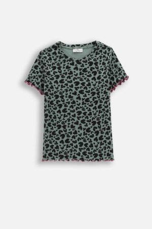 COCCODRILLO marškinėliai trumpomis rankovėmis, įvairiaspalviai, WC6143202RGJ-011-140, 140 cm 