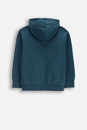 COCCODRILLO susegamas džemperis su gobtuvu, žalias, dydis 