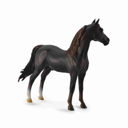 COLLECTA žirgas Morganų veislės kaštoninis, 88647 