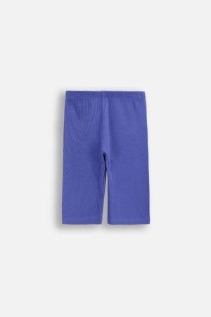 COCCODRILLO tamprės, violetinės, dydis 