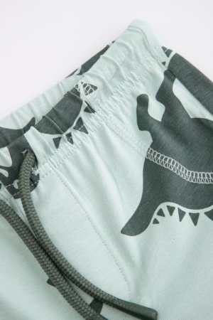 COCCODRILLO kelnės, žalios, WC6122101HBN-031-080, 80 dydis 