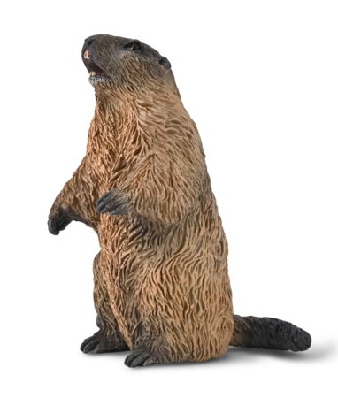 COLLECTA figūrėlė švilpikas, 80044 