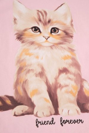 COCCODRILLO marškinėliai trumpomis rankovėmis, rožiniai, cm 