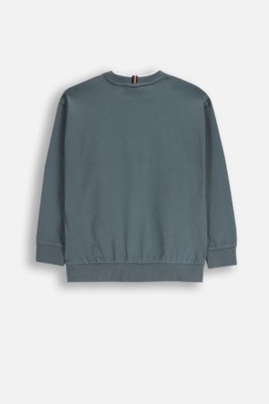 COCCODRILLO marškinėliai, pilki, cm 