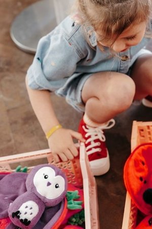 FLIPETZ pliušinis žaislas - pelėda braškėje, 80104 