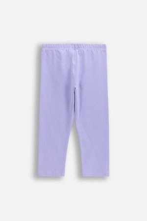 COCCODRILLO tamprės, violetinės, dydis 