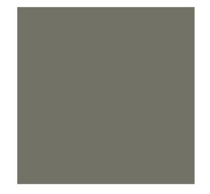 CARRELLO sportinis vežimėlis MAGIA, Malted Green, CRL-5655 