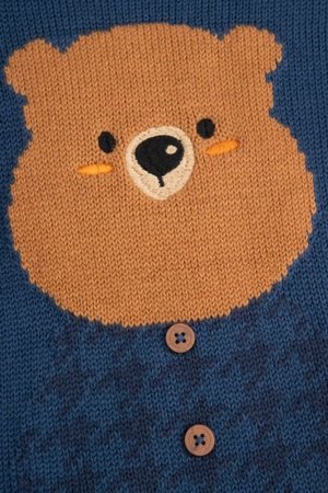 COCCODRILLO megztinis FOREST FRIENDS BOY NEWBORN, mėlynas, ZC5172101FBN-015-086, 86 cm 