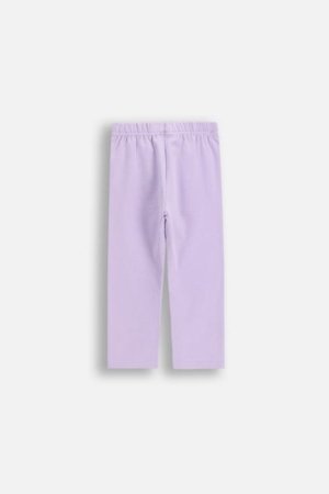 COCCODRILLO kelnės HAPPY PUPPY GIRL NEWBORN, violetinės, cm 