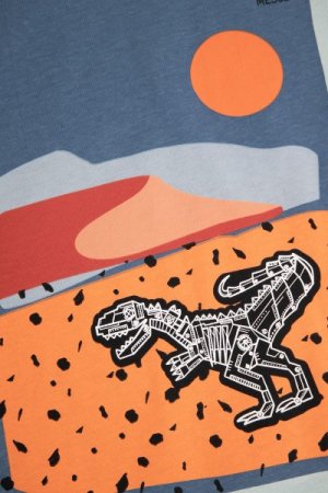 COCCODRILLO marškinėliai trumpomis rankovėmis DESERT EXPLORER KIDS, mėtiniai, WC4143202DEK-031- 